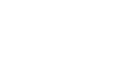 Beauty Feathers